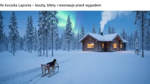 Szwedzka Laponia - koszty, bilety i rezerwacje przed wyjazdem - hero image