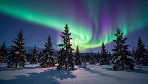 noc polarna szwecja