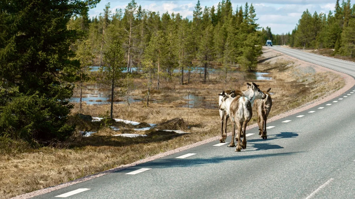 Abisko Szwecja – widok związany z planowaniem podróży