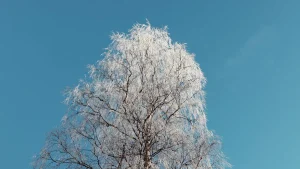 Abisko Szwecja – widok związany z planowaniem podróży