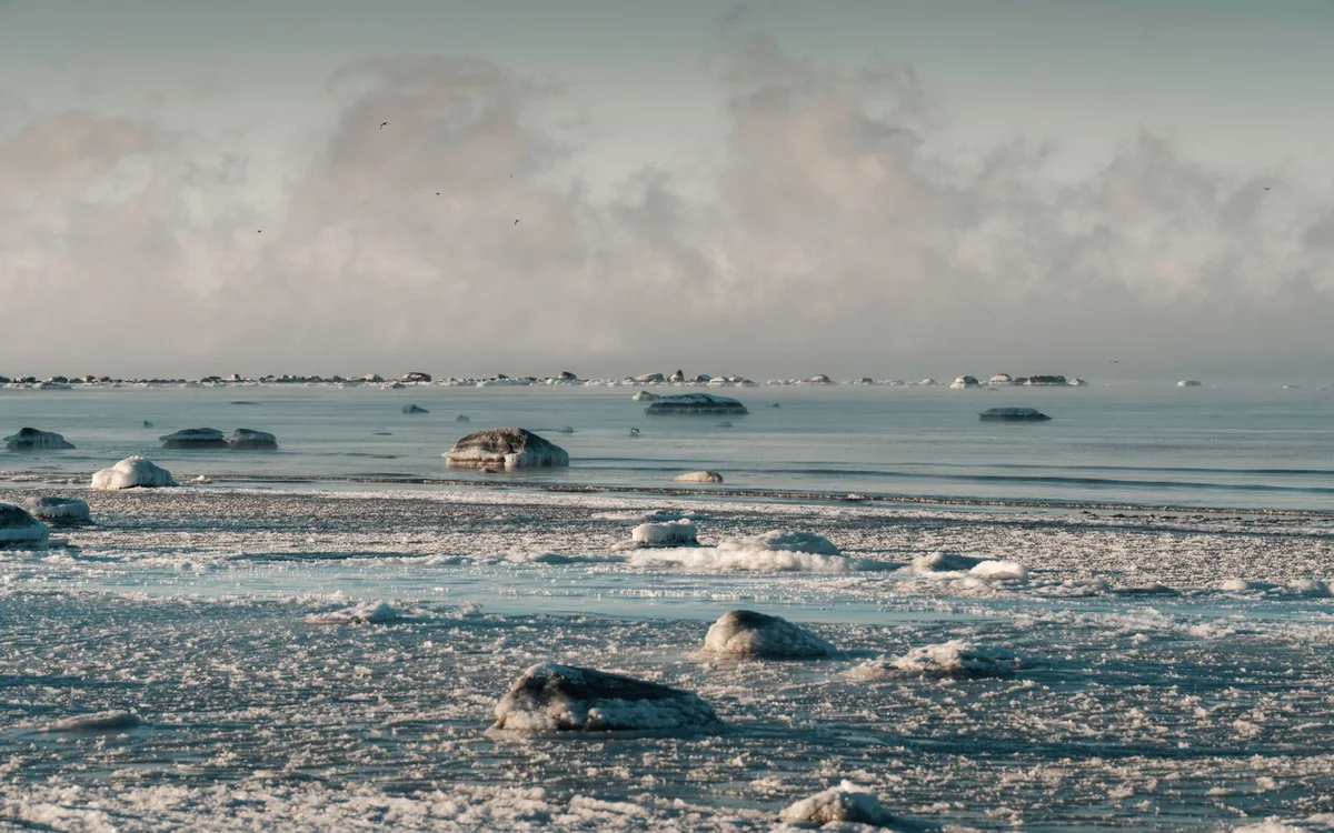 Fårö Gotlandia – Praktyczne ograniczenia