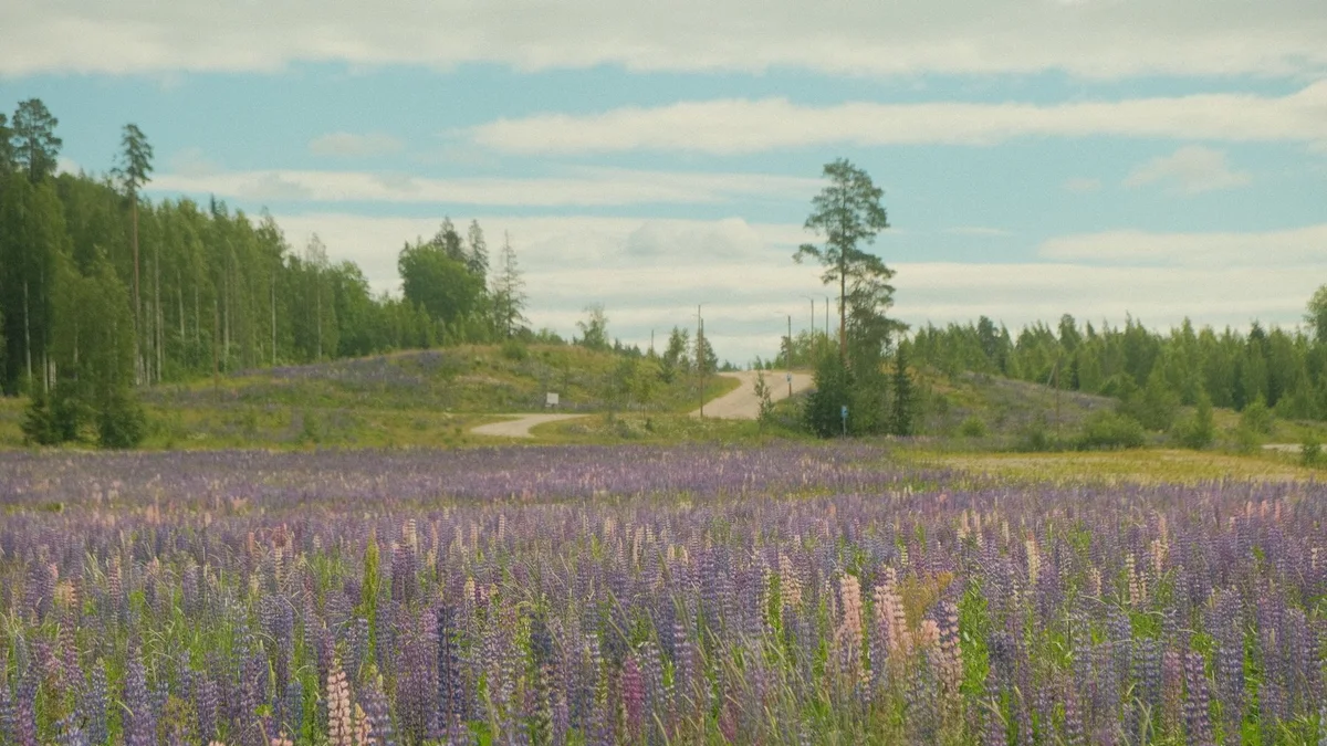 Finlandia design – widok związany z planowaniem podróży