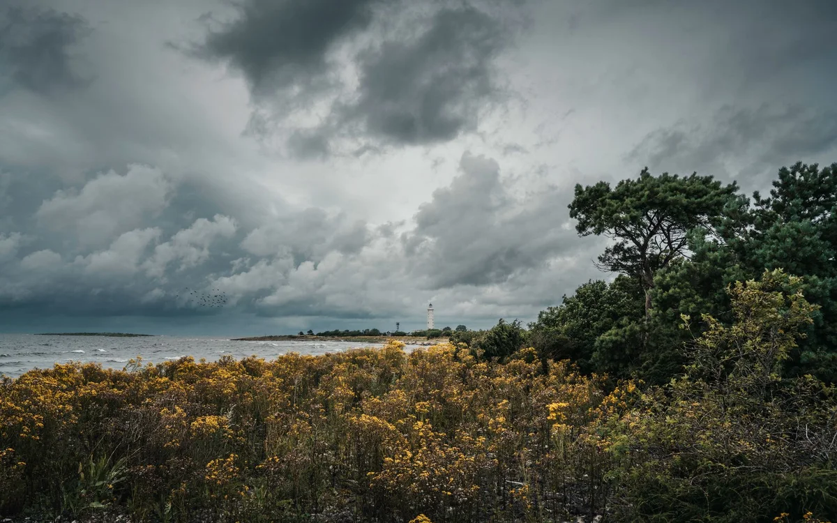 Gotlandia prom – Po przypłynięciu do Visby