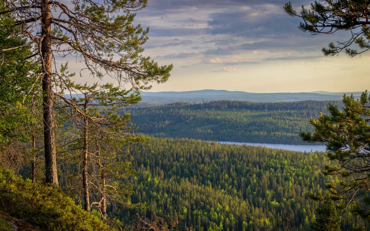 Inari Finlandia – Jak ułożyć trasę sezonowo: lato, jesień, zima, wiosna
