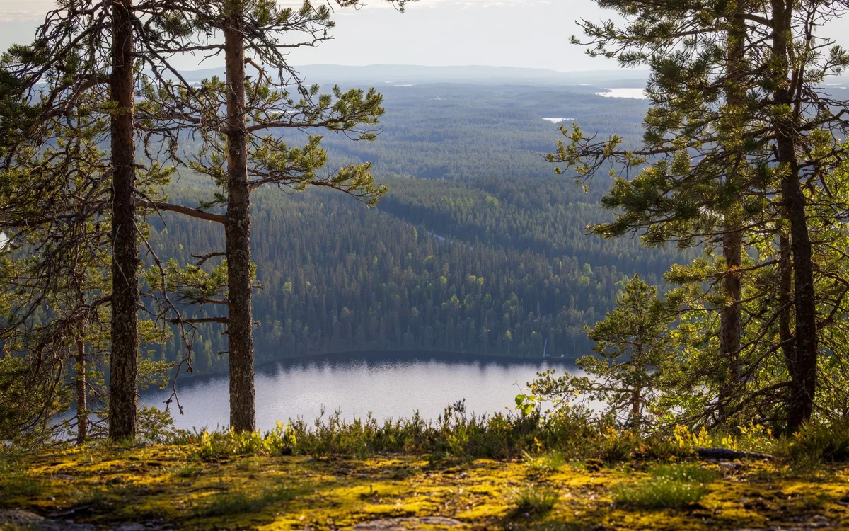 Inari Finlandia – Bezpieczeństwo zimą - mróz, ciemność i transport