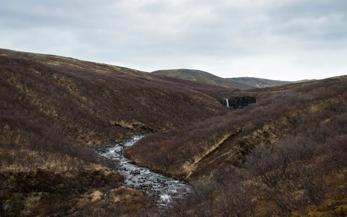 Islandia latem – Letni budżet Islandii: z czego się składa