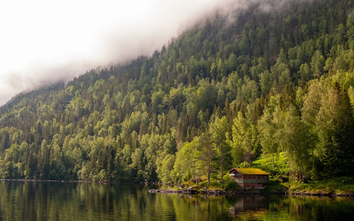 Jeziora Finlandii &ndash; Trasa 5 dni: kr&oacute;tki wstęp do Lakeland - kt&oacute;ry wariant wybrać