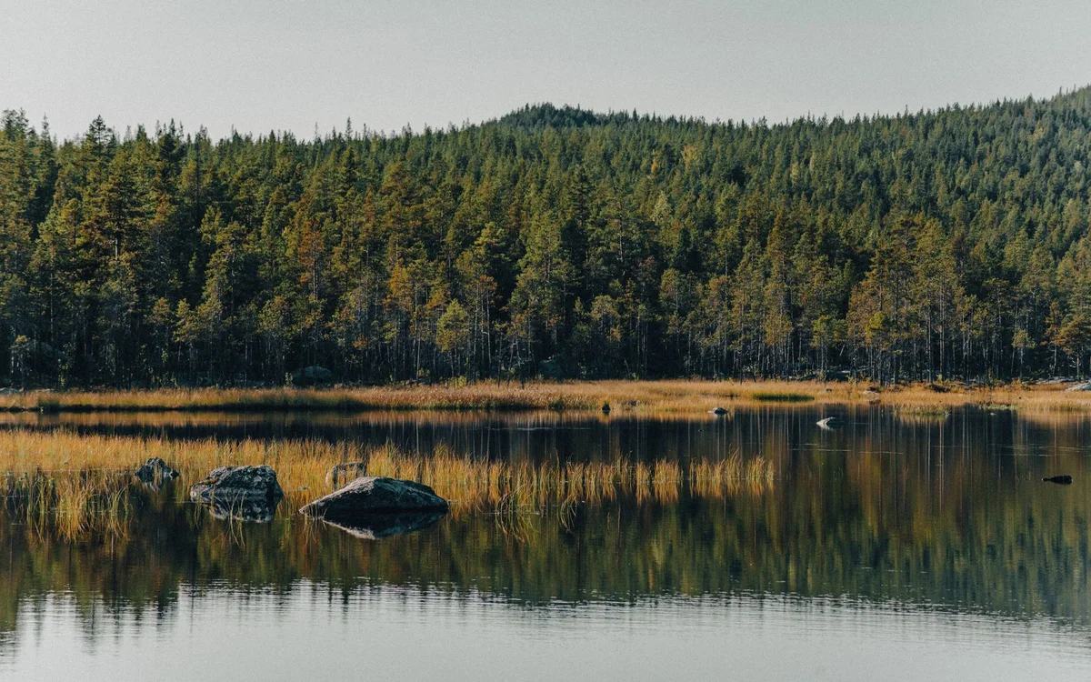 Parki narodowe Finlandii &ndash; Dlaczego Finlandia jest dobra dla rodzin i wolnych podr&oacute;ży