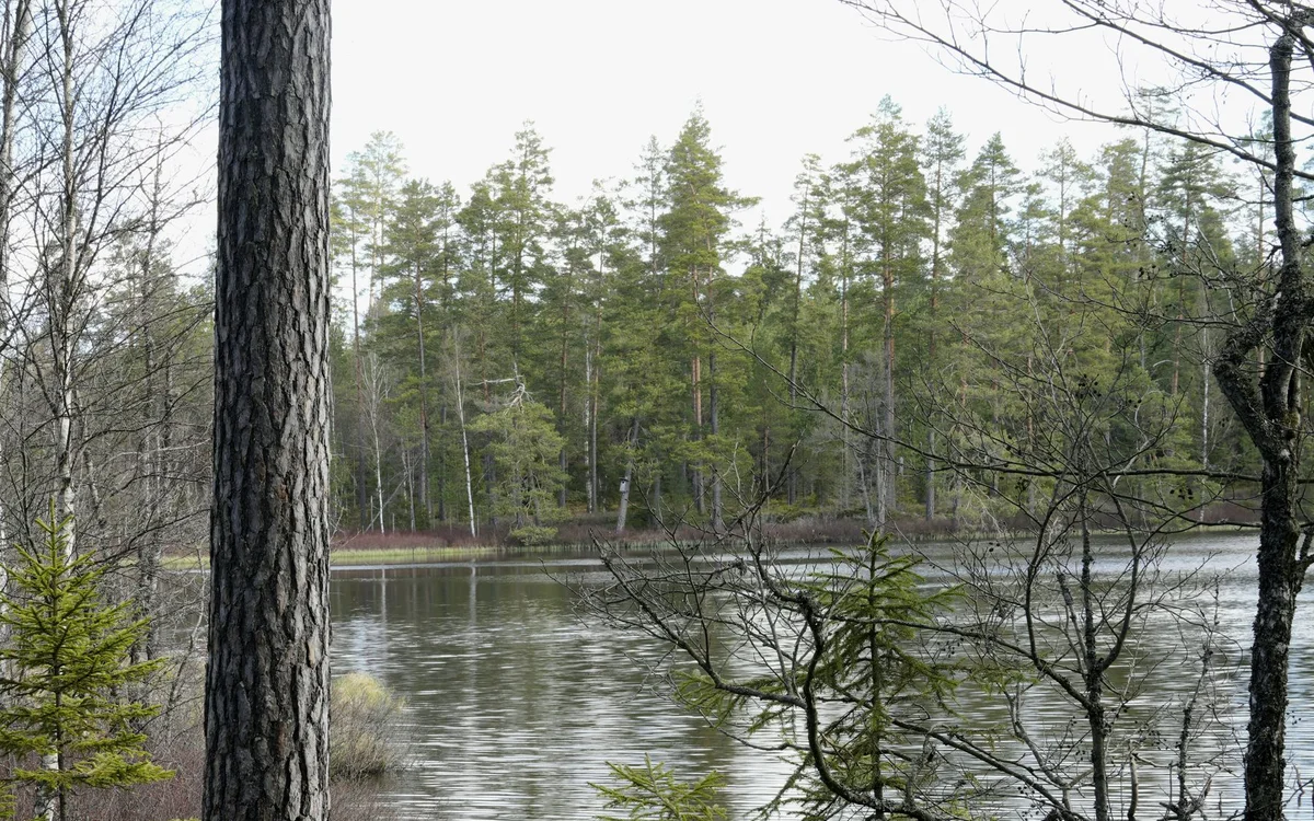 Parki narodowe Finlandii &ndash; Atrakcje i aktywności bez pośpiechu