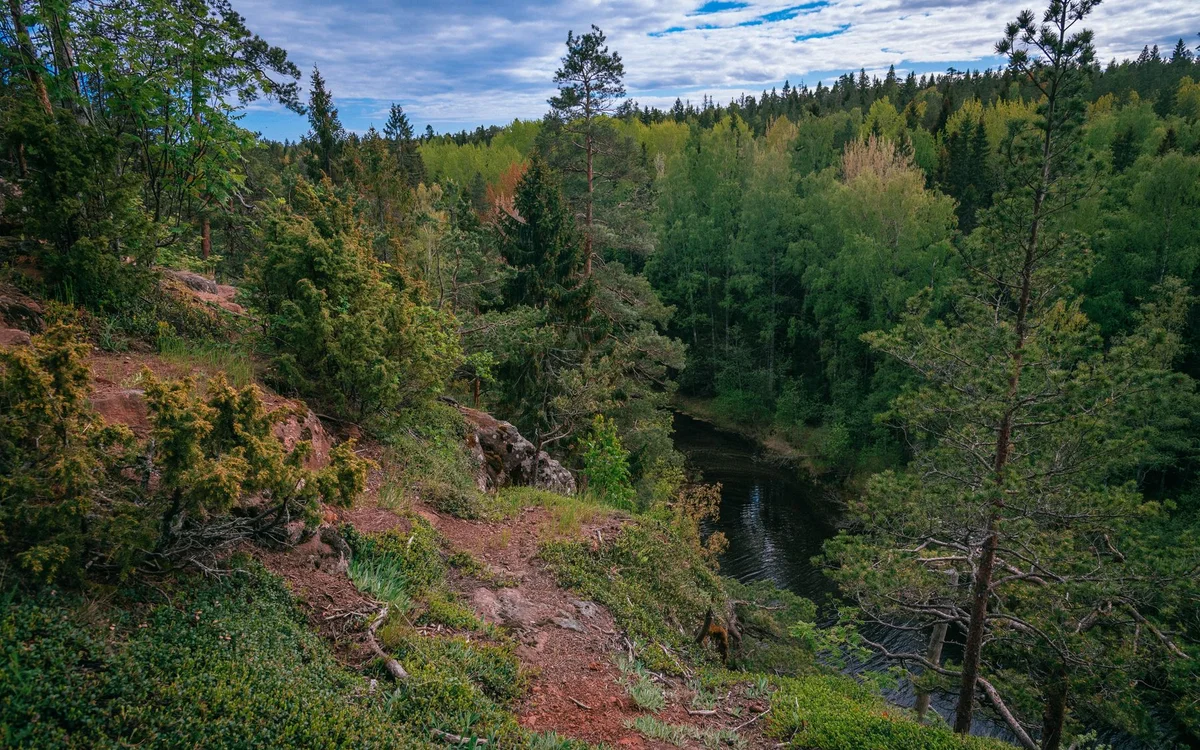 Parki narodowe Finlandii &ndash; Najczęstsze błędy przy pierwszej wizycie