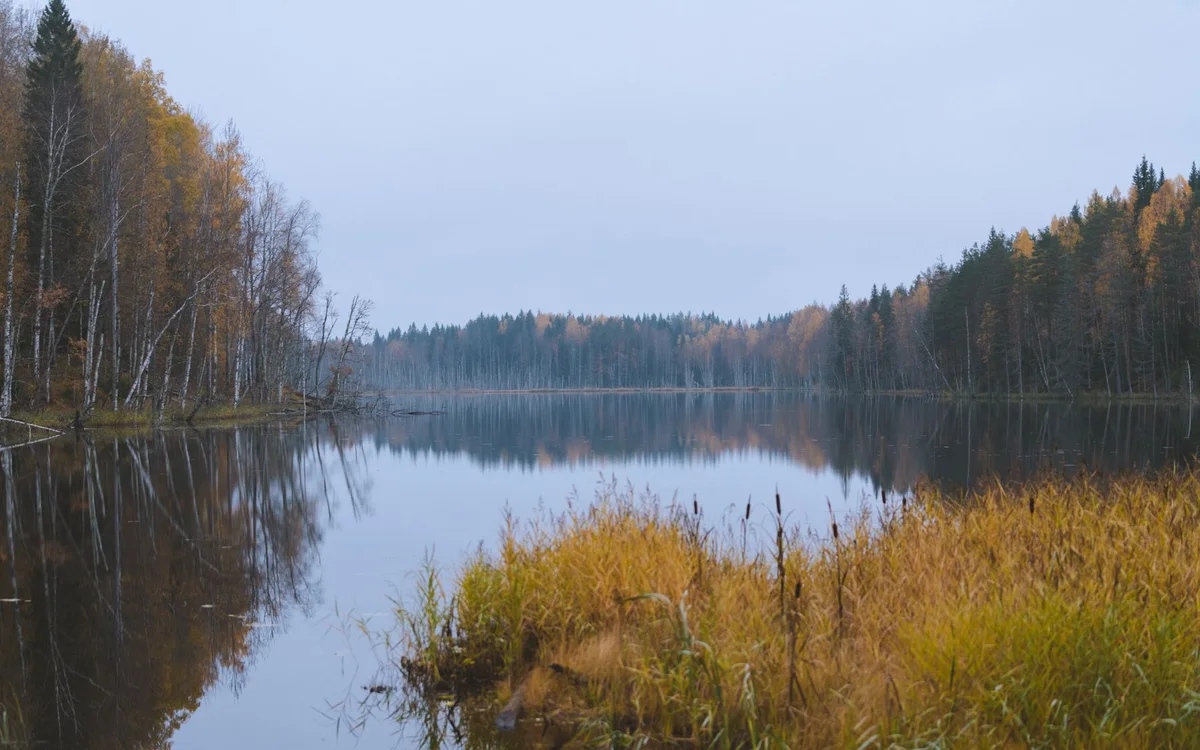 Parki narodowe Finlandii &ndash; Dojazd: komunikacja publiczna czy samoch&oacute;d
