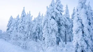 Rovaniemi atrakcje – widok związany z planowaniem podróży