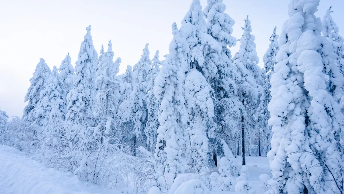Rovaniemi atrakcje – widok związany z planowaniem podróży