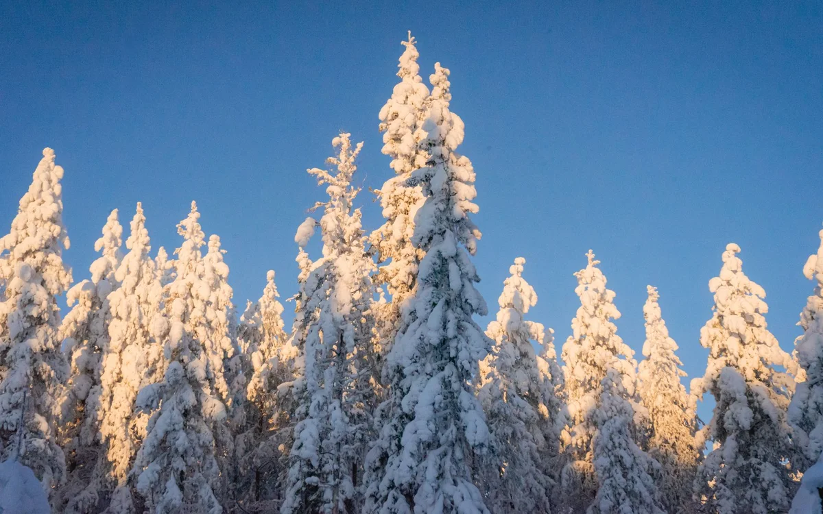Rovaniemi atrakcje – Trasa na 1 dzień - jak zobaczyć maksimum sensu bez biegania