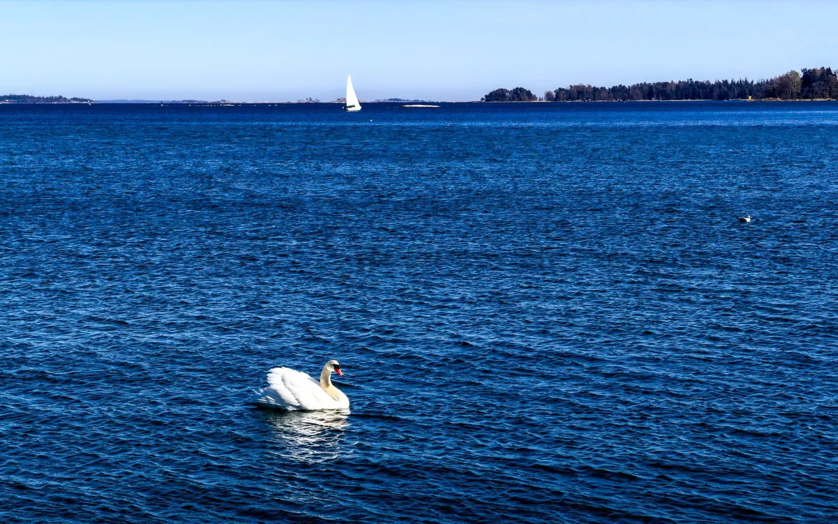Suomenlinna Helsinki – Dlaczego Suomenlinna pasuje rodzinom i spokojnym podróżnikom