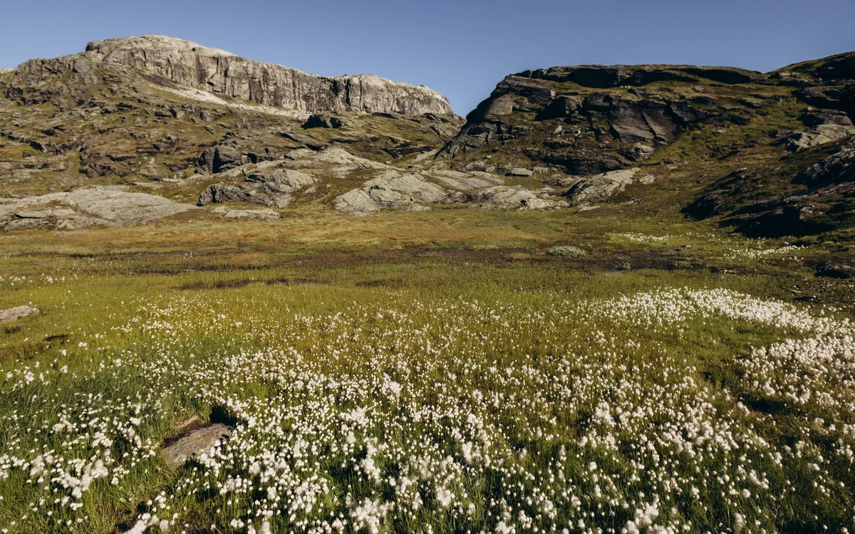 Trolltunga – Czerwiec, lipiec, sierpień, wrzesień - porównanie